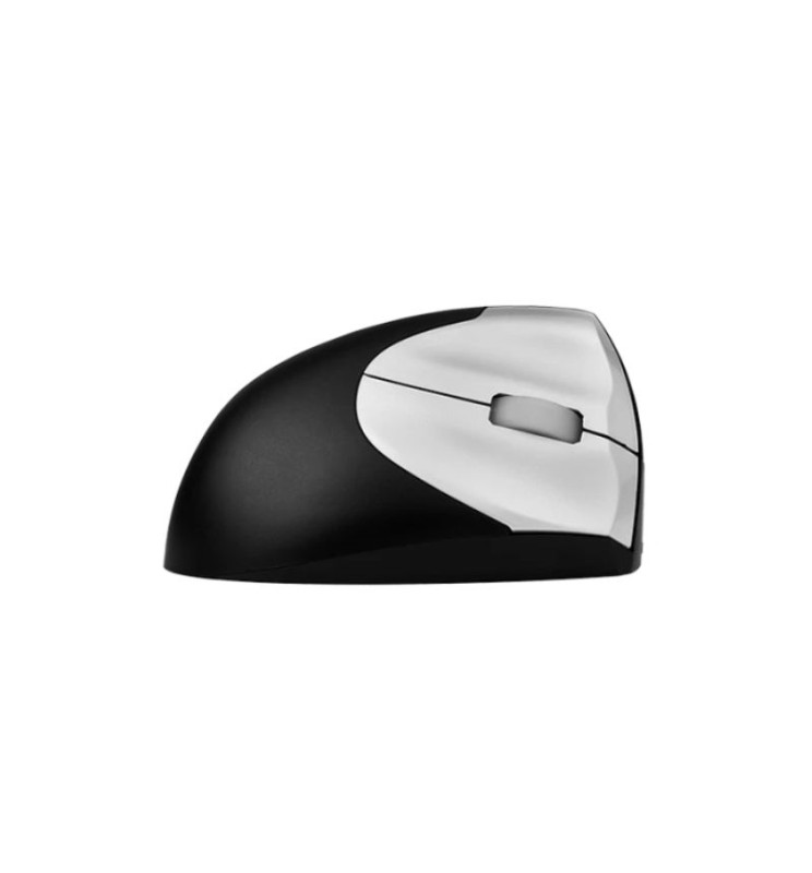 Souris Handshake Mouse sans fil VS4